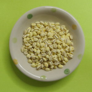 米大将 九州産 もち麦