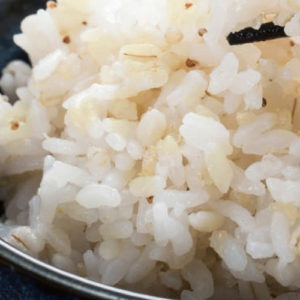 米大将 九州産 もち麦