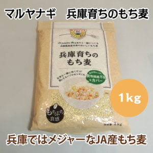 マルヤナギ 兵庫育ちのもち麦