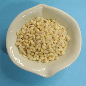 マルヤナギ 兵庫育ちのもち麦