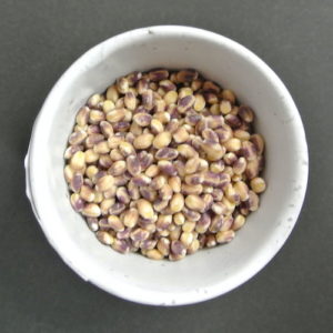 まんでがん おしゃべり広場 讃岐もち麦ダイシモチ