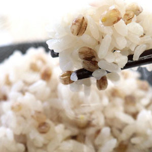 まんでがん おしゃべり広場 讃岐もち麦ダイシモチ