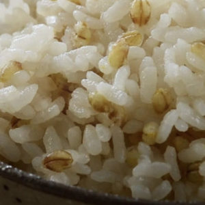 味源 国産もち麦