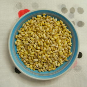 SKファーム　つがるもち麦 美仁